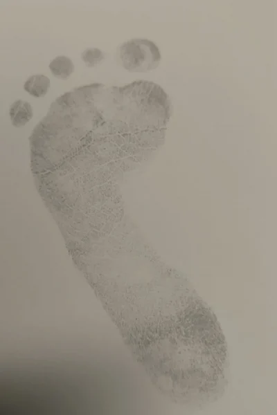 1714328352546-scaled