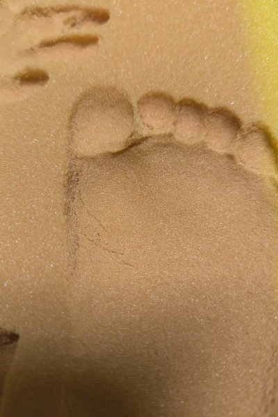 1714328352597-scaled