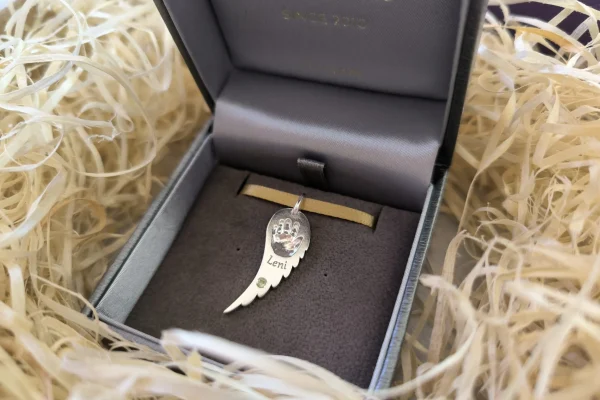 IMG_20240427_090352-scaled